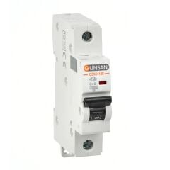 Günsan Valta Otomatik Sigorta 1 Kutup 10kA C Tip 40A