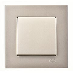 Günsan Eqona Metalik Bej Anahtar