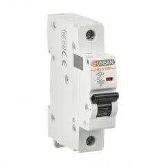 Günsan Valta Otomatik Sigorta 1 Kutup 10kA B Tip 32A